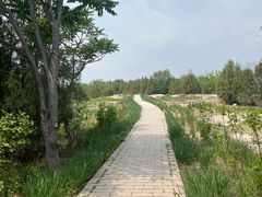 -白水寺森林公园