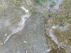 -上海山野camping·户外天幕烧烤·团建拓展营地