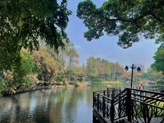 -晓港公园
