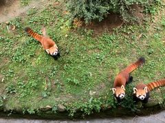 -西安秦岭野生动物园