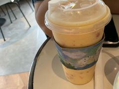 -野萃山·潮汕厚果汁(十亩地店)