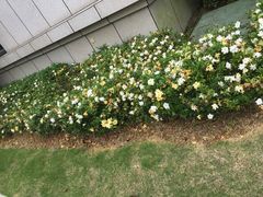 -浙江大学(舟山校区)