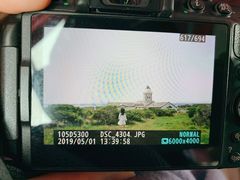 -涉地可支