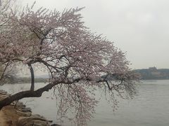 -颐和园