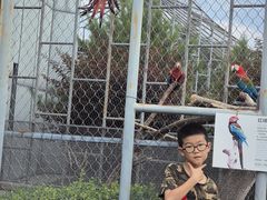 -太原动物园