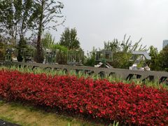 -映月湖中央公园