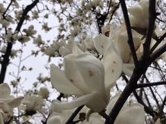 -中共上海市委党校 上海行政学院