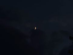 -龙泉青瓷博物馆