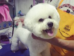 iphone_upload_pic-帅帅宠物生活馆(三元路店)