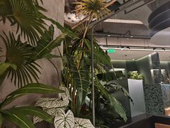 -芸山季·云南山珍菌火锅(南翔印象城MEGA店)