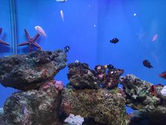 -海合安武汉极地海洋公园