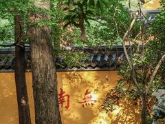 -灵谷景区