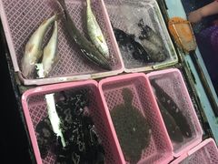 -大湾区中央湿地公园-十九涌