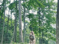 -黔灵山公园