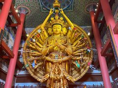 -上海东林寺(金山区)