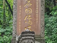 -青城山