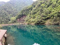 -大奇山国家森林公园