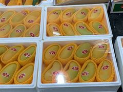 -沈阳市八家子水果批发市场