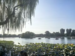 -后海16号·北京私房菜