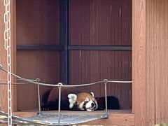-深圳野生动物园