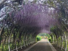 -同里国家湿地公园