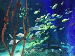 -沈阳海洋探索中心