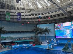 -海合安成都极地海洋公园