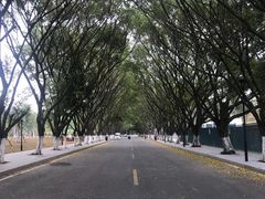 -东莞植物园