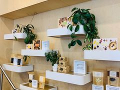 -Patagonia Chocolates(皇后镇店)