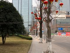 -重庆市江北嘴中央商务区中央公园