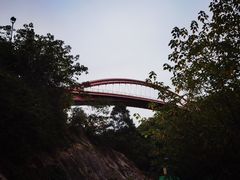 -金鸡山公园