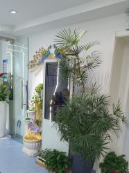 -VK半永久纹眉纹唇美瞳线