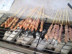 -吴淞炮台湾湿地森林公园烧烤区