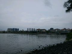 -万绿园