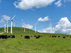 -塞罕坝国家级自然保护区