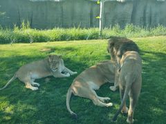 -北京野生动物园