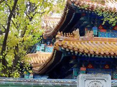 -北京国子监胡同