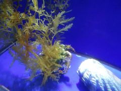 -厦门海底世界