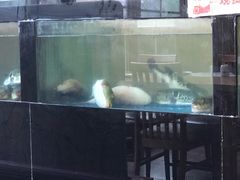 -天正河鲀·河豚亭(大连店)