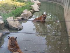 -无锡动物园·太湖欢乐园