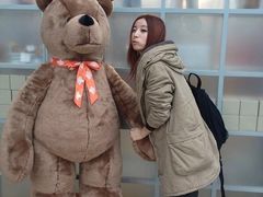 -济州岛泰迪熊博物馆