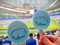 -八万人体育馆-外场足球场