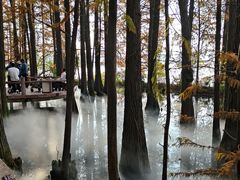 -东湖落雁景区