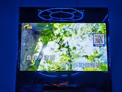 -萧邦音乐会所KTV(向西店)