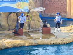 -秦皇岛乐岛海洋王国