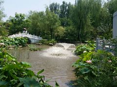 -武清南湖绿博园