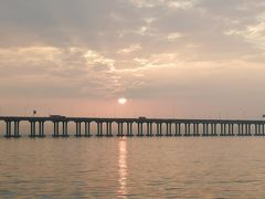 景点-宝安西湾红树林湿地公园