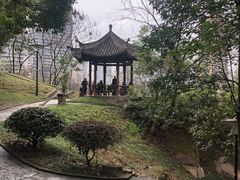 -重庆彩云湖湿地公园