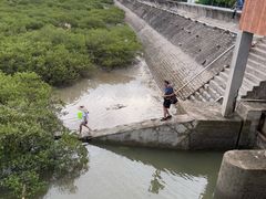 -北海金海湾红树林生态旅游区