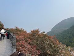 -狼牙山风景区